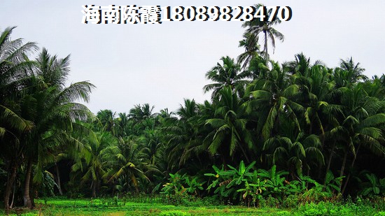 海南中南·智慧城房子怎么样？为什么房价依旧在上涨！